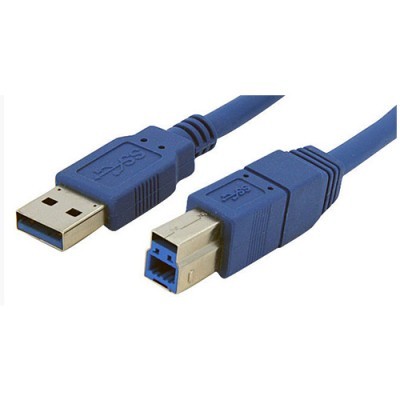 Image de C&acirc;ble USB 3.0 AM-BM 5FT